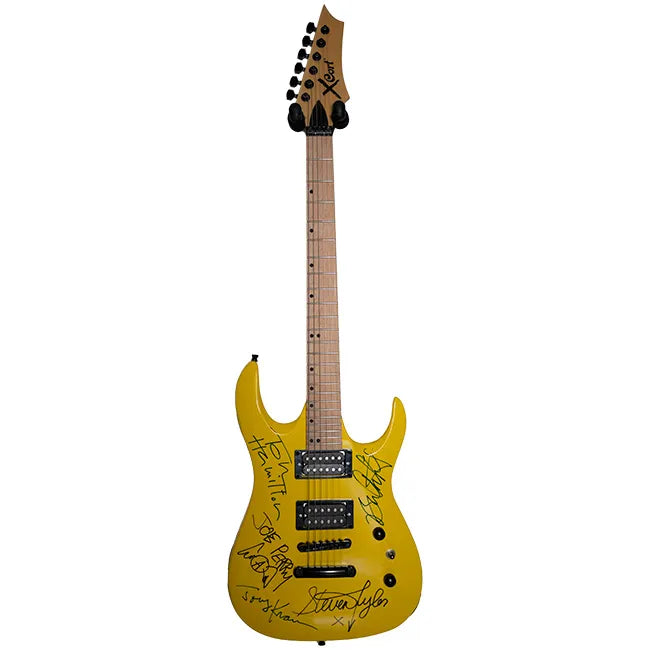 Aerosmith Band Signed Guitar