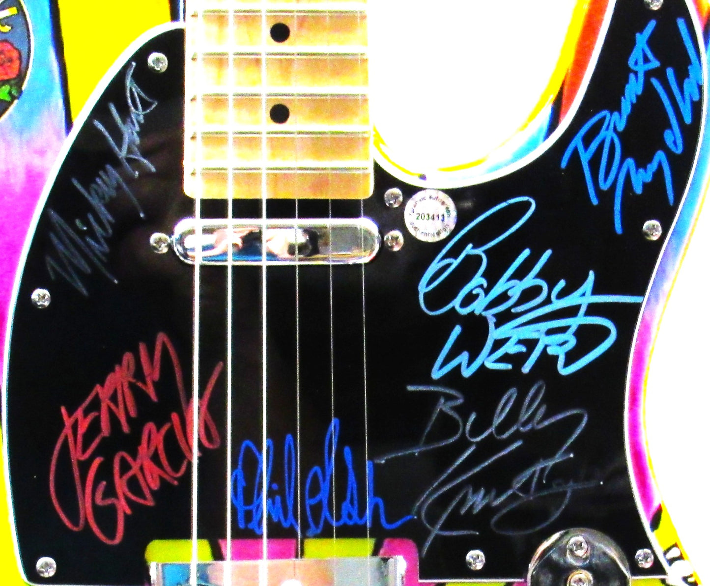 Grateful Dead Autographed  Guitar