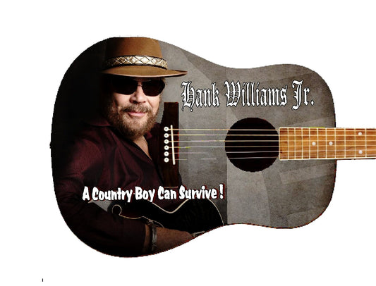 Hank Williams Jr. Custom Guitar - Zion Graphic Collectibles